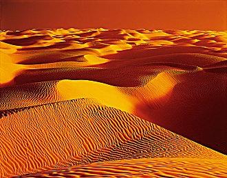 KK官方对战平台爆图《重返战法牧》新职业上线 掌控战场节奏，萨满祭司降临！