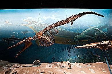 《漫威蜘蛛侠2》剧情预告片＆限定版PS5视频公布